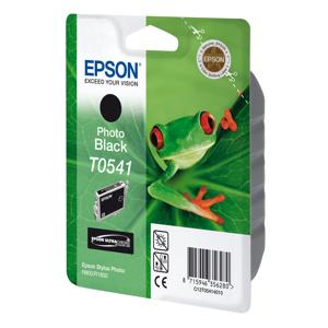 kazeta EPSON SP R800/R1800 photo black 13ml