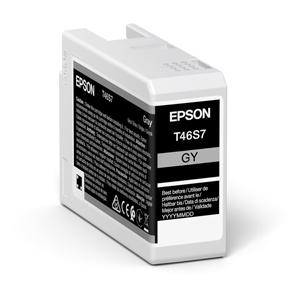 kazeta EPSON SC-P700 gray (25ml)