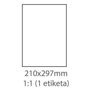 etikety ECODATA Samolepiace 210x297 mm, biele, lesklý papier, 1ks/A4, zadný násek, (1000 listov A4/b